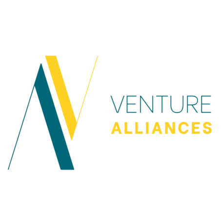 Venture Alliances